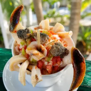 Conch Salad
